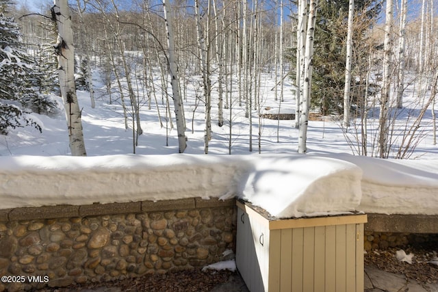 view of yard covered in snow