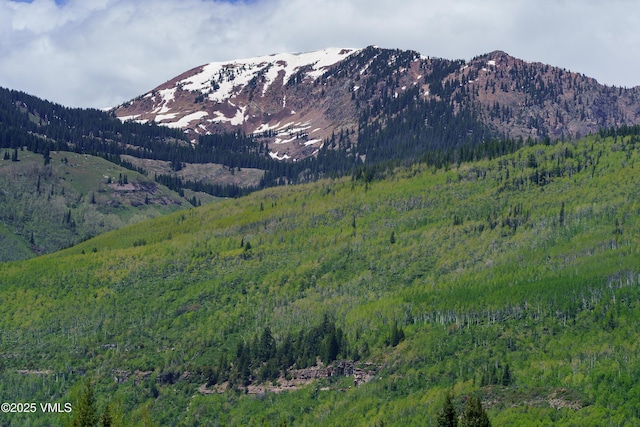 4524 Meadow Dr Unit 905, Vail, CO 81657 - view of mountain background featuring a forest