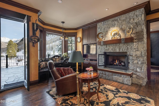 living area featuring ornamental molding, dark hardwood / wood-style flooring, and a stone fireplace