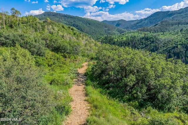 602 Colorow Rd, Edwards, CO 81632 - photo 2