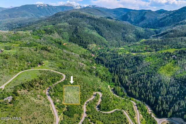 602 Colorow Rd, Edwards, CO 81632 - photo 9