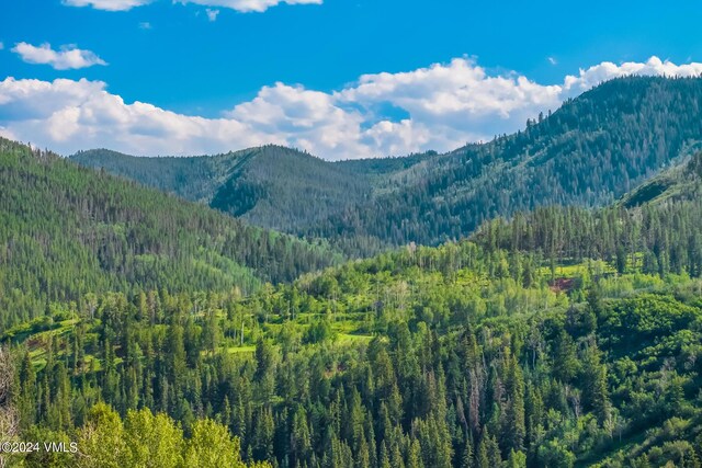 602 Colorow Rd, Edwards, CO 81632 - photo 6