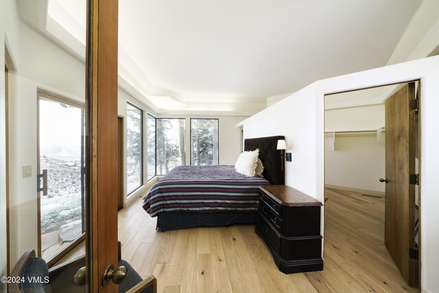 bedroom with light wood-style floors and a spacious closet