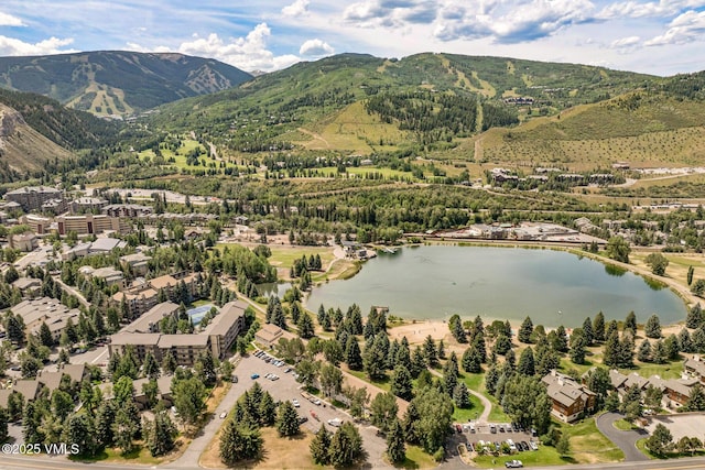 414 W Beaver Creek Blvd Unit B-16, Avon, CO 81620 - photo 14