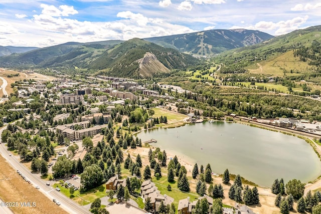 414 W Beaver Creek Blvd Unit B-16, Avon, CO 81620 - photo 20