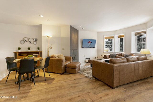 living room featuring light wood-type flooring