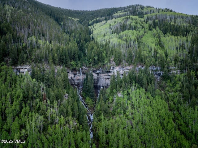 3245 Katsos Ranch Rd Unit A, Vail, CO 81657 - photo 31