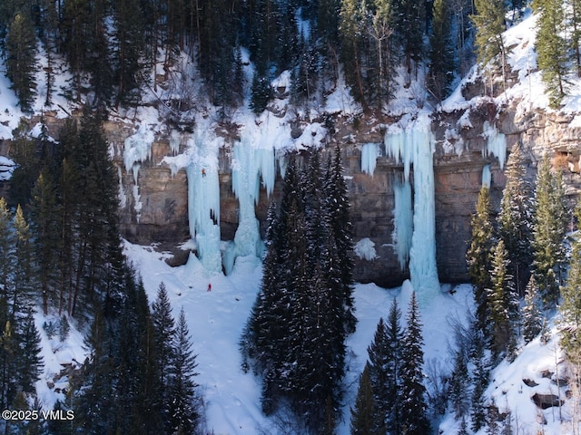 snowy aerial view with a view of trees