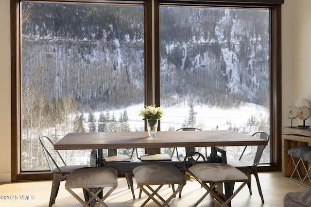 dining room featuring wood finished floors