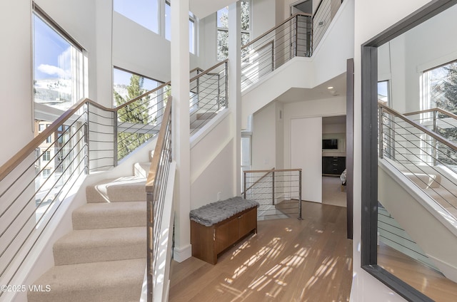 staircase featuring a high ceiling and wood finished floors