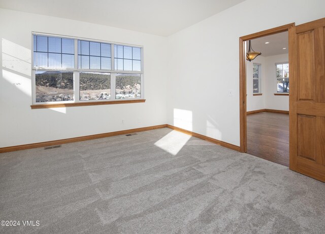 49 Bluffs Dr, Eagle, CO 81631 - view of carpeted spare room