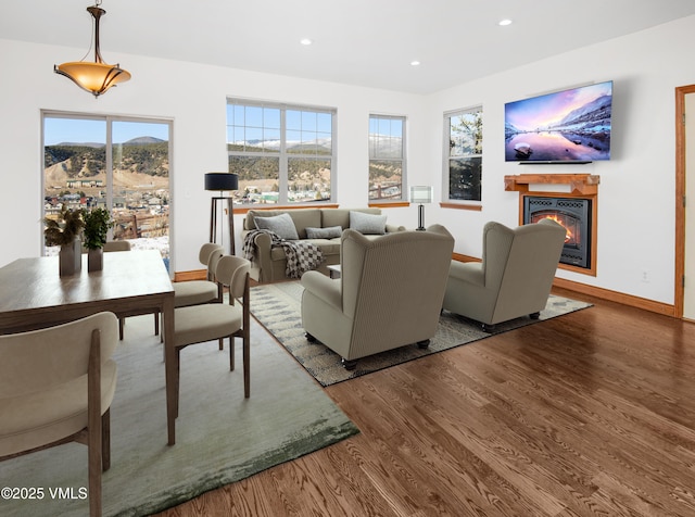 living room with hardwood / wood-style flooring