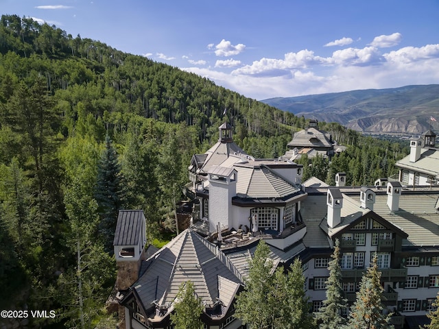 17 Chateau Ln Unit 501, Beaver Creek, CO 81620 - view of mountain background with a forest