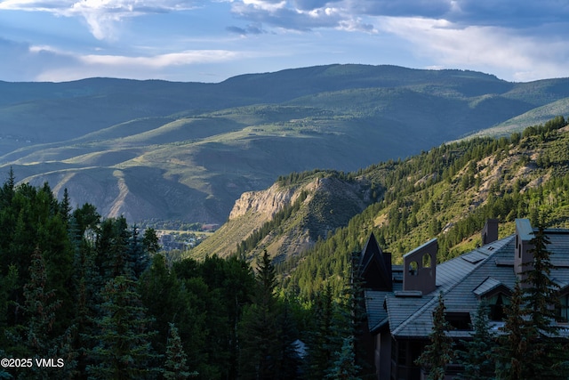 17 Chateau Ln Unit 501, Beaver Creek, CO 81620 - view of mountain background with a heavily wooded area