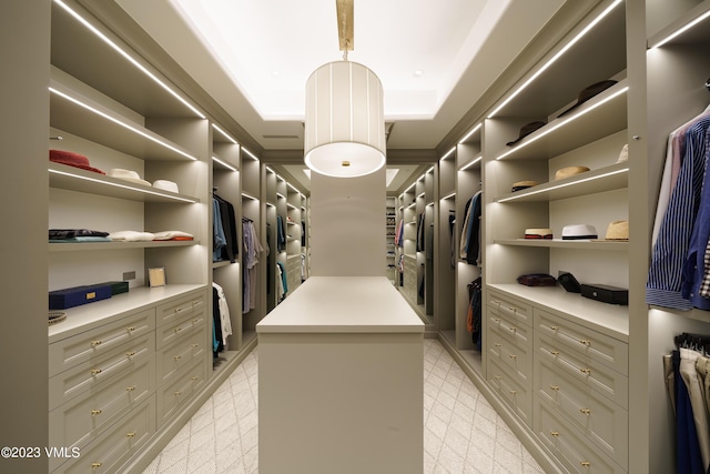 17 Chateau Ln Unit 501, Beaver Creek, CO 81620 - spacious closet with light flooring