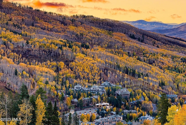 17 Chateau Ln Unit 501, Beaver Creek, CO 81620 - drone / aerial view of a forest and a mountain backdrop