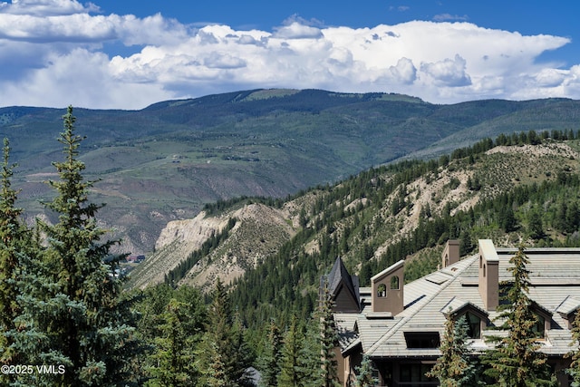 17 Chateau Ln Unit 501, Beaver Creek, CO 81620 - view of mountain backdrop
