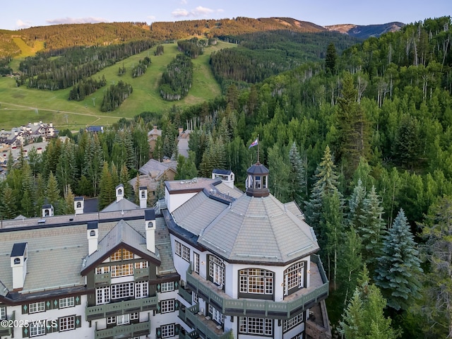 17 Chateau Ln Unit 501, Beaver Creek, CO 81620 - aerial view of a heavily wooded area and a mountain backdrop