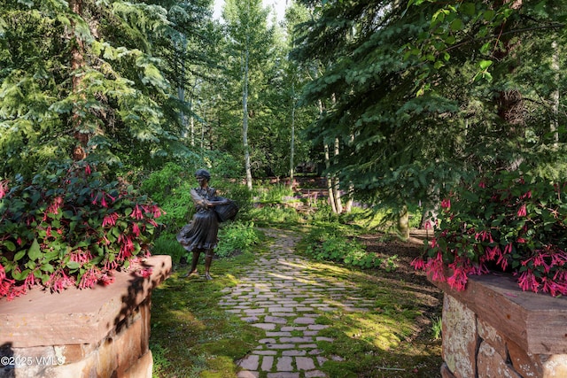 17 Chateau Ln Unit 501, Beaver Creek, CO 81620 - view of yard