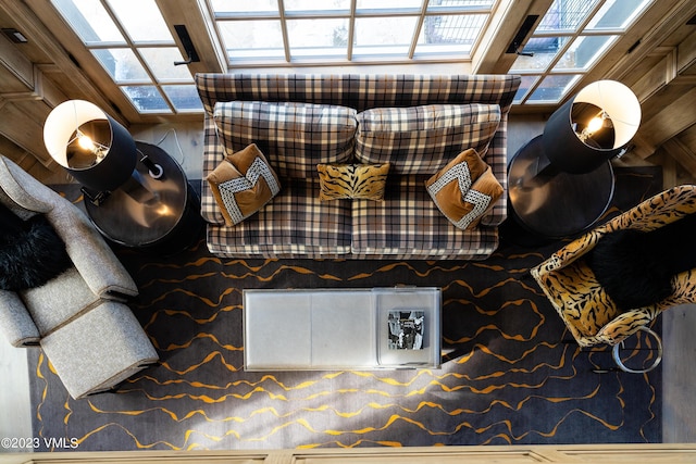 17 Chateau Ln Unit 501, Beaver Creek, CO 81620 - detailed view of a skylight