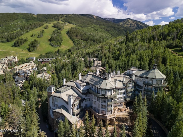 17 Chateau Ln Unit 501, Beaver Creek, CO 81620 - drone / aerial view of a forest and a mountainous background