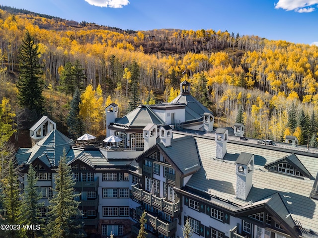 17 Chateau Ln Unit 501, Beaver Creek, CO 81620 - drone / aerial view of a forest