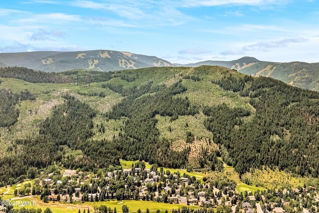 170 Grouse Ct Unit A, Eagle-Vail, CO 81620 - photo 35