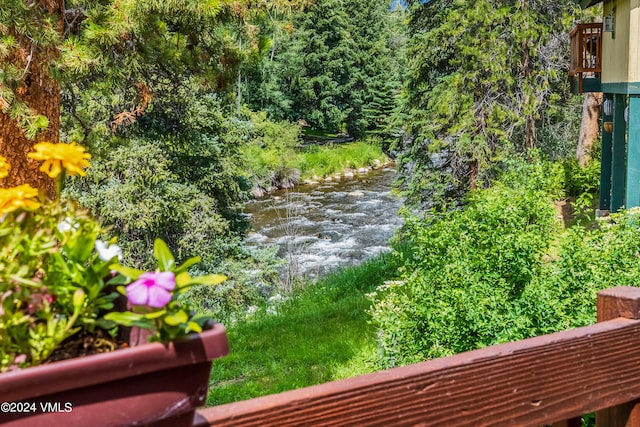 2963 Bellflower Dr, Vail, CO 81657 - exterior space