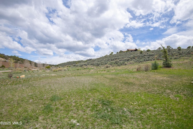 0017 Harvester Ct, Eagle, CO 81631 - view of mountain background