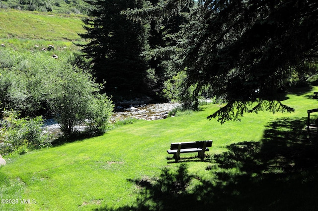 view of community featuring a yard