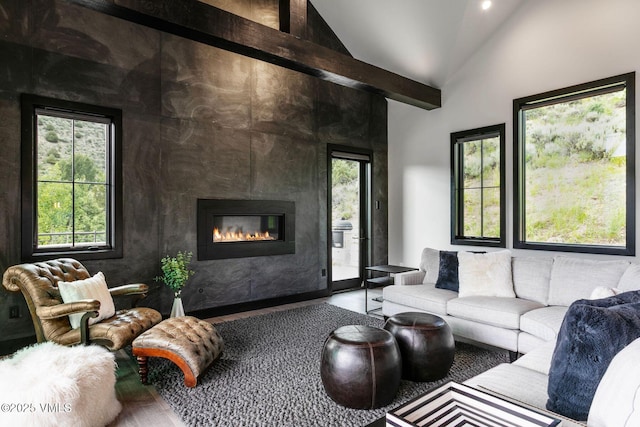 420 Little Andorra Rd, Edwards, CO 81632 - living area featuring a fireplace, high vaulted ceiling, and wood finished floors