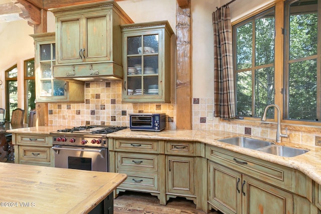 kitchen featuring tasteful backsplash, wood-type flooring, sink, and stainless steel stove