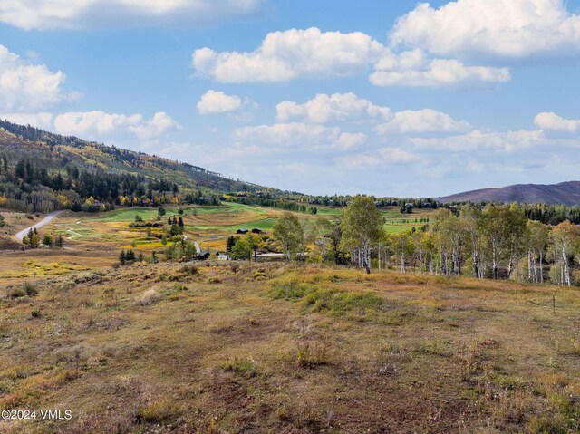 33 Bear Cat Pt, Edwards, CO 81632