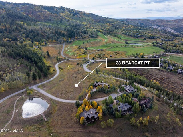 33 Bear Cat Pt, Edwards, CO 81632