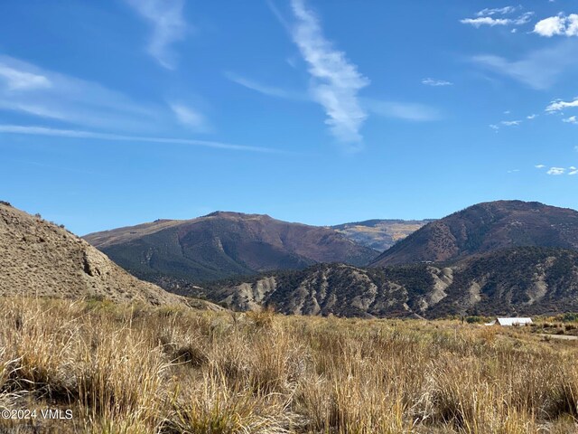 0089 Borah Spur, Eagle, CO 81631 - photo 6