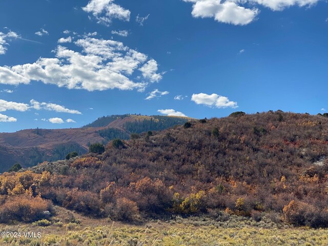 0089 Borah Spur, Eagle, CO 81631 - photo 7