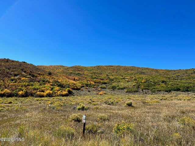 0089 Borah Spur, Eagle, CO 81631 - photo 5