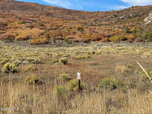 0089 Borah Spur, Eagle, CO 81631 - photo 11