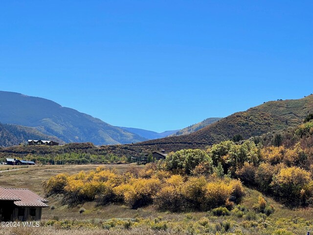 0089 Borah Spur, Eagle, CO 81631 - photo 4