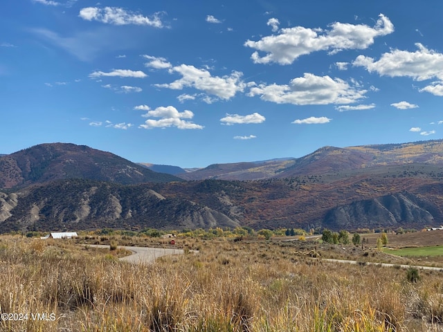 0089 Borah Spur, Eagle, CO 81631 - photo 10
