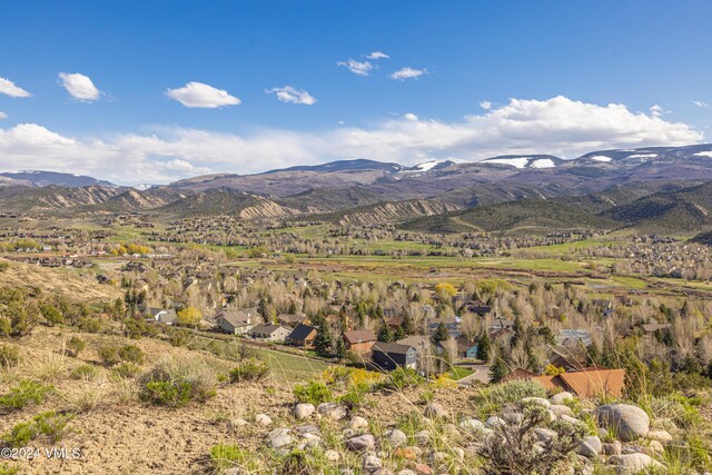 660 Green Mountain Dr, Eagle, CO 81631 - photo 8