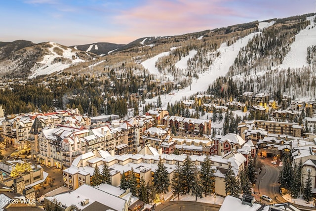 684 W Lionshead Cir Unit 302, Vail, CO 81657 - view of mountain backdrop