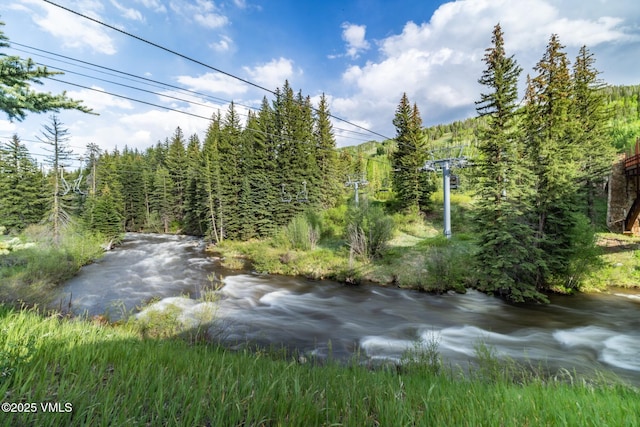 684 W Lionshead Cir Unit 302, Vail, CO 81657 - view of yard