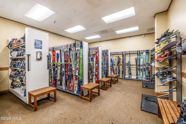 684 W Lionshead Cir Unit 302, Vail, CO 81657 - misc room with carpet and a paneled ceiling