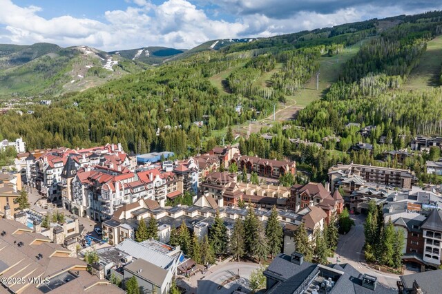 684 W Lionshead Cir Unit 302, Vail, CO 81657 - aerial view of property's location with a heavily wooded area and a mountain backdrop