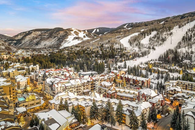 684 W Lionshead Cir Unit 302, Vail, CO 81657 - view of mountain background