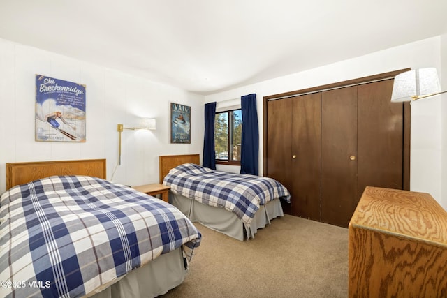 423 Wild Irishman Rd Unit 1008 1009, Keystone, CO 80435 - bedroom featuring a closet and carpet flooring