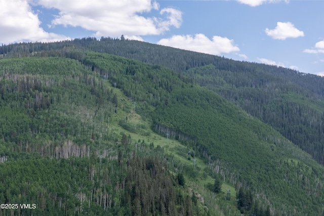 1100 N Frontage Rd W Unit 2504, Vail, CO 81657 - view of mountain backdrop featuring a forest