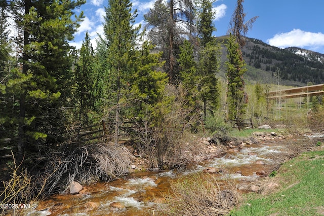 view of local wilderness with a mountain view