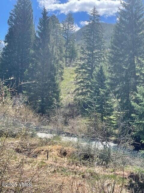 5197 Black Gore Dr Unit B-2, Vail, CO 81657 - view of undeveloped land